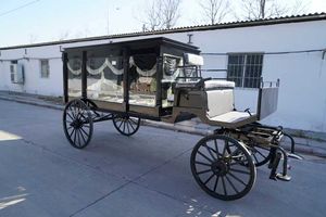 Cercueil funéraire à traction animale (cheval) noir avec auvent pour <span class=keywords><strong>chauffeur</strong></span>, dédié aux salons funéraires - Product Image 5