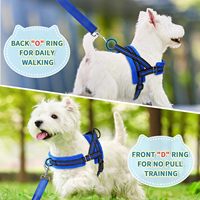 Harnais de poitrine pour chien en nylon réfléchissant et tissu maillé avec collier et laisse réglables et imperméables, style classique