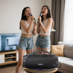 Bộ khuếch đại giọng nói không dây 300W với micrô, Hệ thống loa PA di động, máy Karaoke cho các sự kiện, ca hát, tiệc tùng - Product Image 1