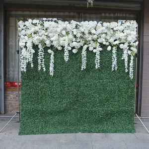 Birthday Party Theme 3d 5d Roses LFlower Panel Wall Roll Up Curtain Fake Grass Wall Decor Backdrop Stand For Wedding Events