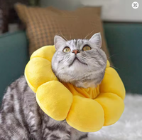 Collier de récupération de luxe pour chat, petit modèle, imprimé tournesol adorable, réglable, pour protection post-chirurgicale et cicatrisation des plaies, en polyester