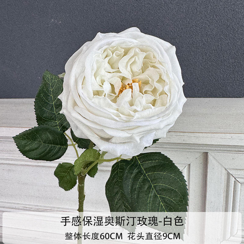 Hand Feel Moisturizing ออสตินโรส