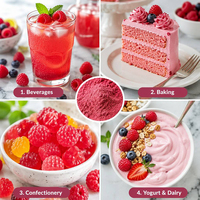 Bulk Fruitpoeder Collectie Aardbei Blauwe Bes Mango Framboos Cranberry Spraygedroogd Vriesgedroogd Poeder