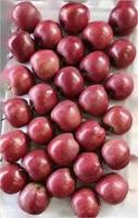 Fruit de pomme Fuji rouge frais pomme HUaniu rouge chinoise pommes rouges douces