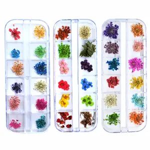 Pegatinas de flores secas para uñas DIY con encaje, narcisos estrellados, margaritas pequeñas, accesorios para decoración de uñas de 12 colores