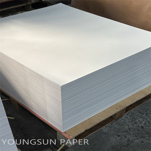 Glossy/Matte <b>Double</b>-Sided Coated Label Paper 80gsm Art Paper for Labels Stickers <b>Photo</b> <b>Frames</b> (Recycled Materials) - Product Image 3