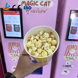 Máquina Automática para Hacer Palomitas de Maíz Chuanbo Technology, la Mejor Oferta, para Cines, Bares, Máquina Expendedora de Palomitas de Maíz para Centros Comerciales - Product Image 5