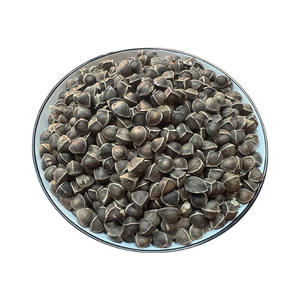 Pasokan langsung dari Yunnan partikel besar tangan pertama biji <span class=keywords><strong>Moringa</strong></span> India baru berbagai spesifikasi untuk produk pertanian - Product Image 1