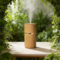 Diffuseur d'arômes portable pour voiture avec une capacité de 51 à 100 ml, alimenté par USB, désodorisant aromathérapeutique pour les environnements multi-usages