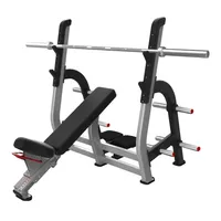 Équipement d'entraînement de force Nautilus Premium, optimisé biomécaniquement, pour installations de fitness intensives