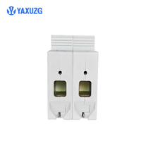 Dispositif de protection contre les surtensions basse tension 40A T2 2P pour 385V AC