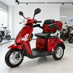 Triciclo de 3 Ruedas con Pedales, Motor sin Escobillas en el Buje Trasero, 3 Velocidades, Batería de Plomo-Ácido de 48V 960WH, Cuadro de Acero al Carbono para Adultos/Ancianos - Product Image 4