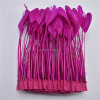 Plumes de canard blanches teintées en gros, garniture de plumes rayées pour vêtements de carnaval, tissus, dentelles, chapeaux et décorations de chapellerie