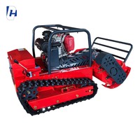 Tondeuse à Gazon sans Fil de Haute Qualité 800 mm Certifiée Longjie, 48 V, Moteur Quatre Temps pour Agriculture, Télécommande sans Fil