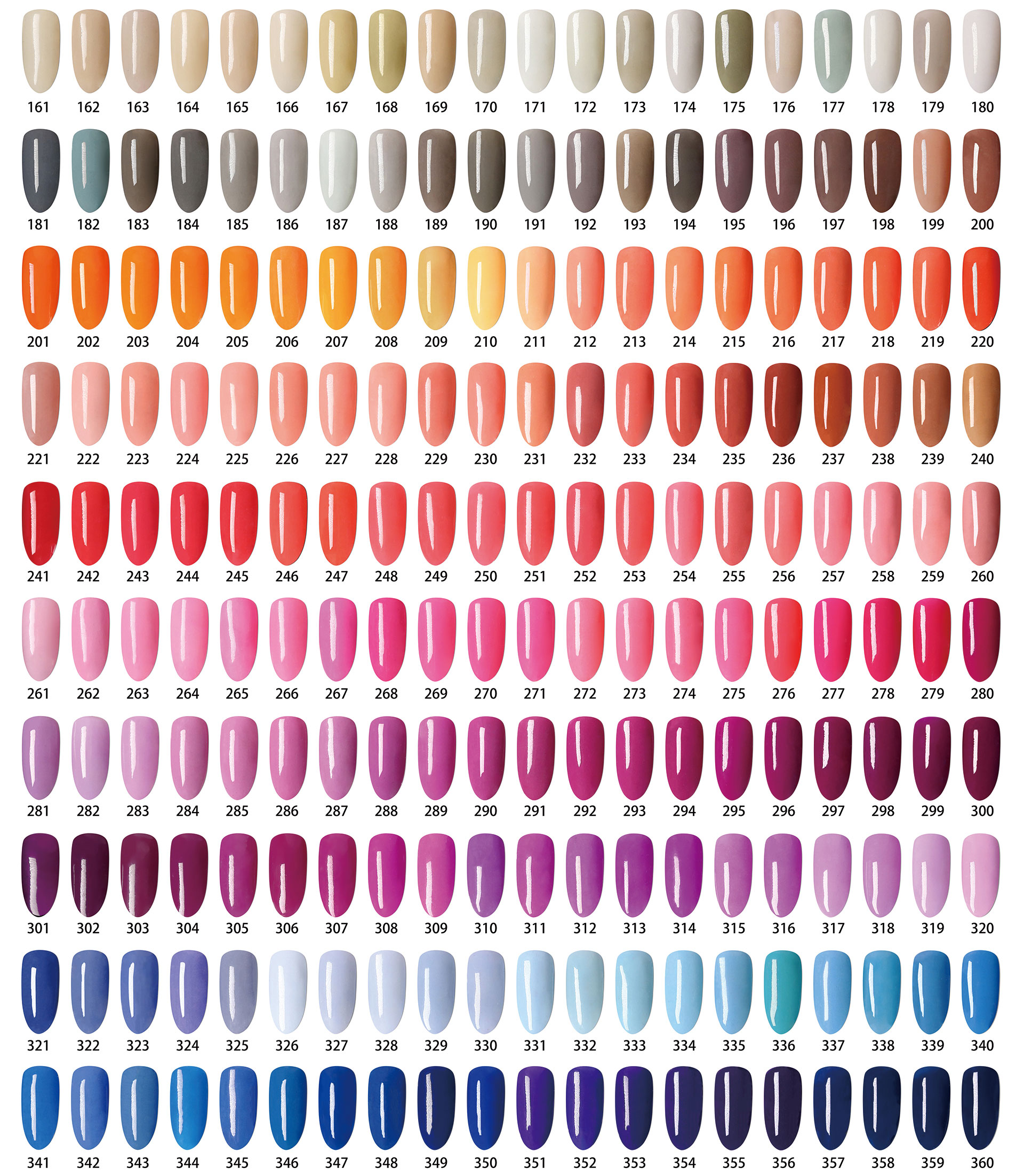 #Color 02