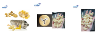 Force usine grain produit faisant des machines pâtes usage domestique/machin faire pâtes macaroni/pâtes faisant la machine commerciale