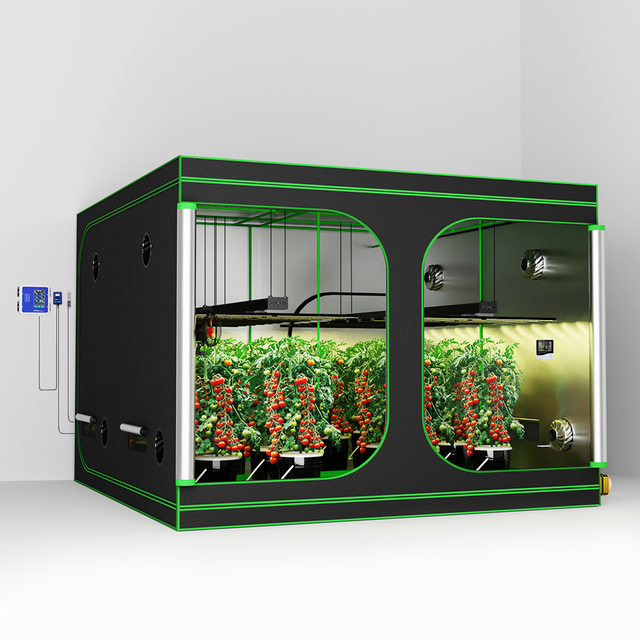 300*300*200 Modern Home Hydroponic for Kit Steel Frame Powder Coated Waterproof Eco-Friendly for Vegetable/Fruit Growth