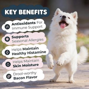 OEM/ODM Allergie-Immun – Anti-Juckreiz-Kauartikel für Hunde, Allergieunterstützende Vitamine für Haut- & Fellallergien – 90 Stück <span class=keywords><strong>Pet</strong></span> Soft Chews - Product Image 3