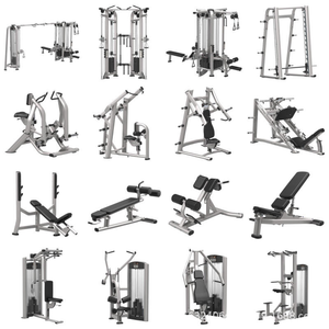 Equipo Profesional para Entrenamiento de Bíceps para Entrenadores Personalizados, Cursos de Esculpir Brazos y Clases de Fitness en Grupo - Product Image 5