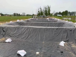 Membrane de piscine en géomembrane HDPE arc-en-ciel pour bassin, usage aquacole (poissons, crevettes, esturgeons), épaisseur 0,20 mm-2,0 mm - Product Image 5