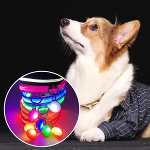 Collares LED reflectantes ajustables para mascotas, luz LED recargable por USB, gran oferta
