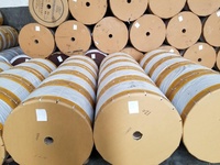 Wit 45gsm gecoat speciaal papier mango fruit zakje waterdicht dubbelzijdig maagdelijk houtpulp compatibel zeefdruk