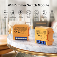 Module d'interrupteur intelligent WiFi Zigbee LangYeao 1/2 Gang 150W LED, mini format, compatible Alexa Google Home, gradation progressive, minuterie
