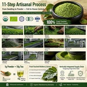 Polvo de Hoja de Morus <span class=keywords><strong>Alba</strong></span> a Granel de Marca Privada OEM, Polvo Herbal de Matcha Finamente Molido, Polvo de Hoja de Morera, Polvo de Té de Morera - Product Image 4