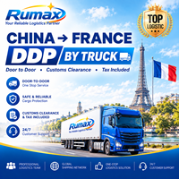 Transitaire maritime DDP Chine-Allemagne pour les produits de cuisine et de maison, vente en gros pour les vendeurs Amazon FBA
