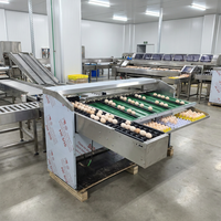 Machine automatique de triage des œufs pour élevages, capacité 15000 œufs/heure, moteur et boîte de vitesses en acier inoxydable 304, pour couvoirs avicoles