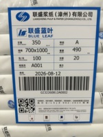 Carton Premium Blueleaf FBB SBS GC1 C1S Ivoire de 190-400 g/m² pour boîtes cosmétiques ou pharmaceutiques haut de gamme
