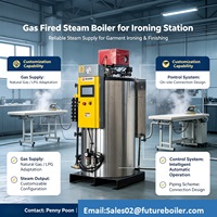 Caldera de Vapor Vertical de Gasóleo de 100 kg/h, Generador de Vapor Totalmente Automático para Planchado de Ropa, Mesa de Vaporización, Perú