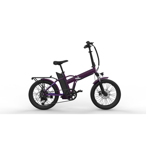 Vélo cargo <span class=keywords><strong>électrique</strong></span> à livraison directe depuis l'entrepôt européen, vélo <span class=keywords><strong>électrique</strong></span> à longue portée à double batterie de 20 pouces - Product Image 2