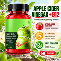 Gummies de Vinaigre de Cidre de Pomme OEM avec Multivitamines, Compléments Digestifs, B12 pour le Bien-être Métabolique et le Soutien Énergétique