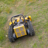Mesin pemotong rumput Remote Control perayap nirkabel 500mm harga pabrik Tiongkok dengan sekop salju