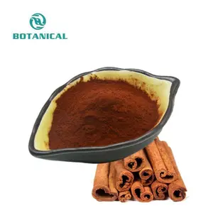 Food Grade Pure Ingredients Cinnamon Bark Extract Cinnamon Powder 20% Polyphenol
