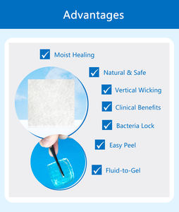 อุปกรณ์ตกแต่งแผลไฮโดรฟิลิกตัวชี้วัดการแต่งแผลใยเจล - Product Image 5