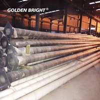 Poteau d'éclairage public solaire Golden Bright GB-Solar, 4m à 12m, en acier galvanisé, à bras simple ou double, pour l'éclairage public