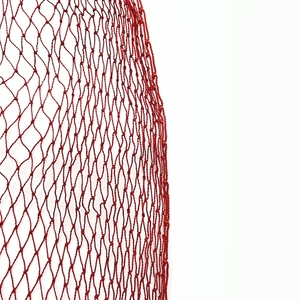 <span class=keywords><strong>Filet</strong></span> <span class=keywords><strong>de</strong></span> <span class=keywords><strong>pêche</strong></span> en nylon 210D 4, 9 ou 15 brins haute résistance à bord simple, mailles <span class=keywords><strong>de</strong></span> 8,2/8,5/8,8/9 mm², 800md 1000MD - Product Image 1
