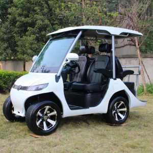 New Energy Vehicle 4 Seats Club Car 48v for Sale HDK Golf Carts <b>Gasoline</b> Golf Car - Product Image 2