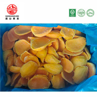 Diepvries Mango Schijfjes/Dobbelstenen IQF voor Smoothie Bowl, Cocktail, IJs, Topping, Geel Fruit, 10kg Karton, Groothandel
