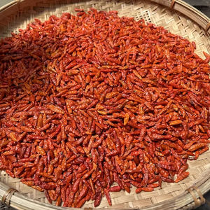พริกบดแดงสด พริกป่น พริกตาไก่ คุณภาพสูง ได้รับการรับรองมาตรฐาน HACCP และ HALAL สำหรับการส่งออกและตลาดขายส่ง - Product Image 1