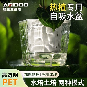 Airi Shield <b>Square</b> Glacier PET Self-Absorbing Flower Pot High Transparency Water Level <b>Planter</b> - Product Image 4