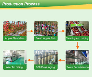 Zweimal fermentiertes Bio-Apfel essig pulver Frucht extrakt in Lebensmittel qualität White Bulk Powder Variety - Product Image 4