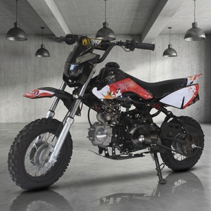 Oferta Especial: Motocicleta Todoterreno de 110cc, Refrigerada por Aire, de Gasolina, con Frenos de Disco, Monocilíndrica, 4T, con Doble Tubo de Escape Recto - Product Image 1