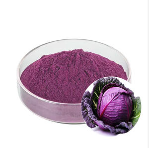 مسحوق الملفوف الأرجواني ، معالجة المواد الخام الطبيعية ، مسحوق الملفوف الأحمر عالي الجودة ، مستخلصات نباتية من المواد الخام - Product Image 1