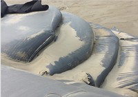 Sacs géotextiles tissés en PP pour la déshydratation des boues de barrage, rideaux de silt et tissus géotechniques
