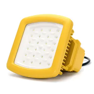 Certificazione di fabbrica ATEX luci di inondazione a prova di esplosione 100W 150W 200W a prova di esplosione luci di inondazione a led per esterni