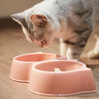 Vente en gros de bols doubles pour petits chiens et chats Mangeoires à eau et à nourriture en plastique pour animaux de compagnie Assiette à dîner Fournitures pour animaux de compagnie