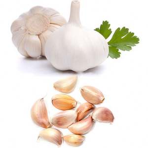 Ligne de traitement de l'ail Séparateur automatique de clous de girofle d'ail Séparateur de gousses d'ail - Product Image 5